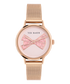 PHYLIPA BOWC