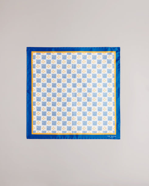 CHEQUA - Ted Baker Ties