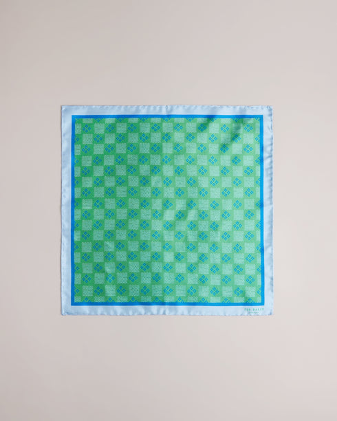 CHEQUA - Ted Baker Ties